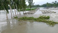 বিপৎসীমার ওপরে আত্রাই নদের পানি
